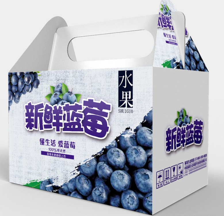 定制水果包裝盒 設(shè)計圖